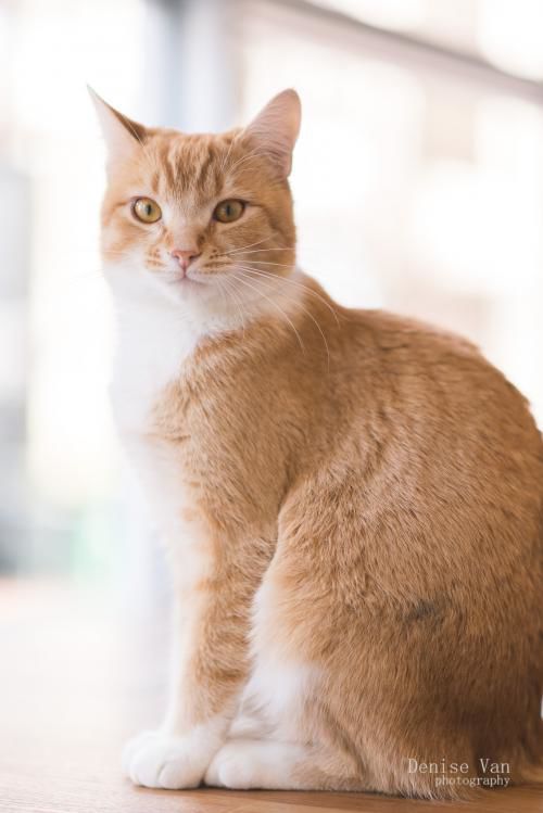 6) Rosie.jpg